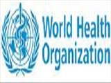 Dr. Jafar Sadegh Tabrizi Attended the Summit of WHO-collaborating Centers in Cairo